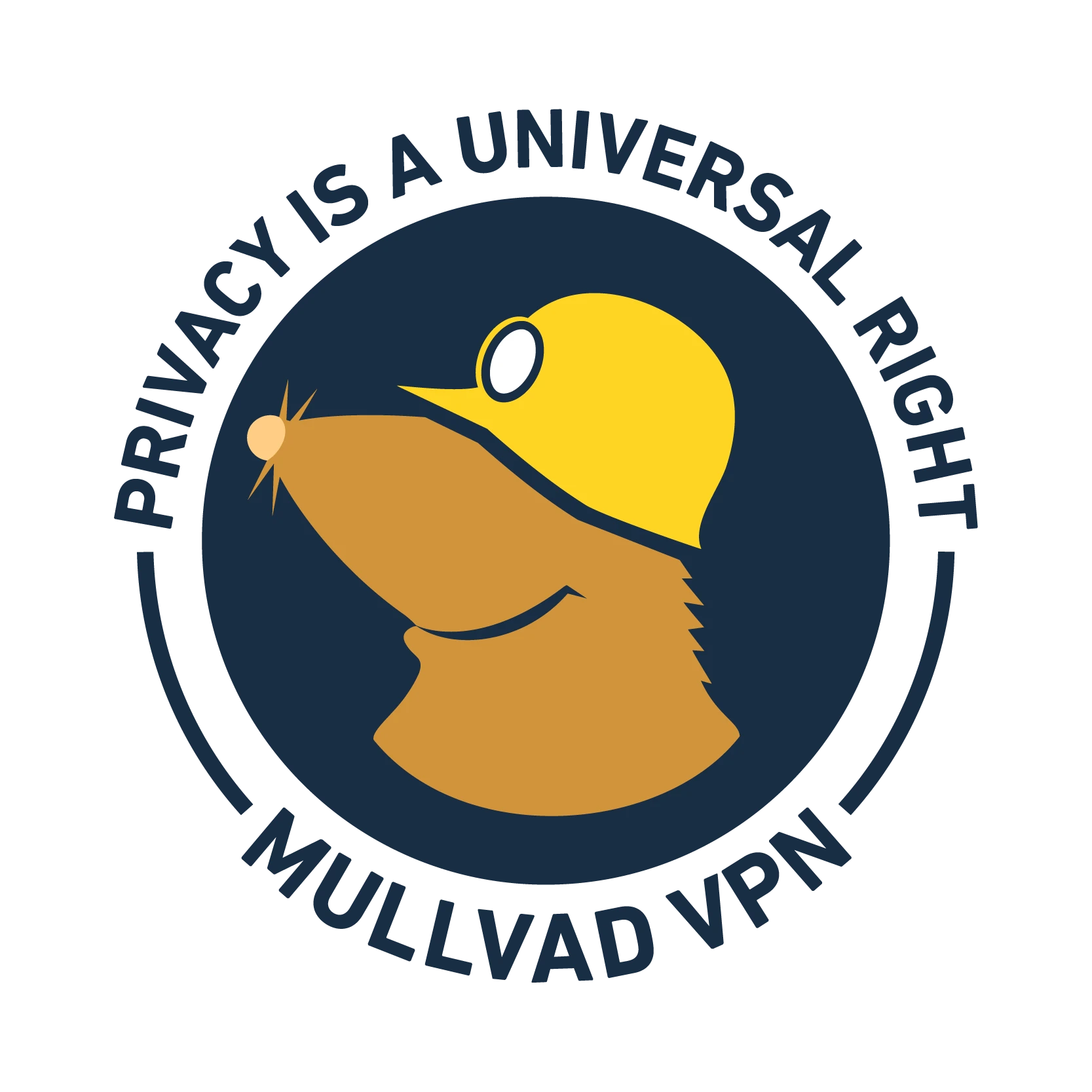 Mullvad 赞助了安全节